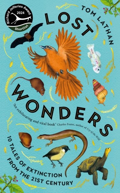 Lost Wonders