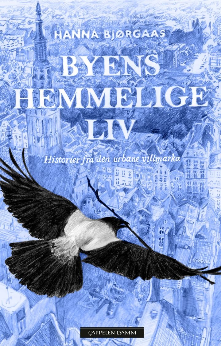 Byens hemmelige liv - historier fra den urbane villmarka