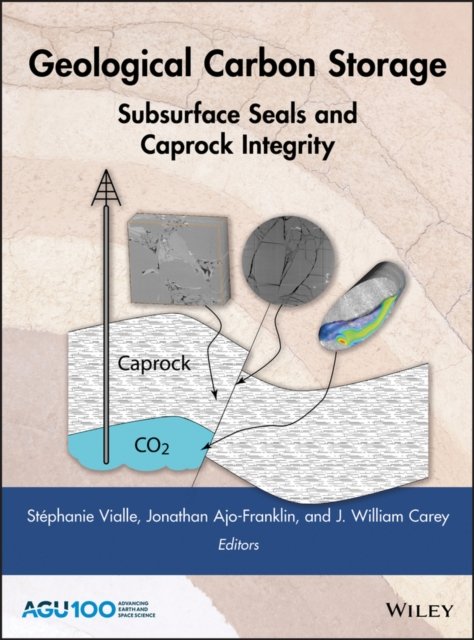 Geological Carbon Storage – Subsurface Seals and Caprock Integrity