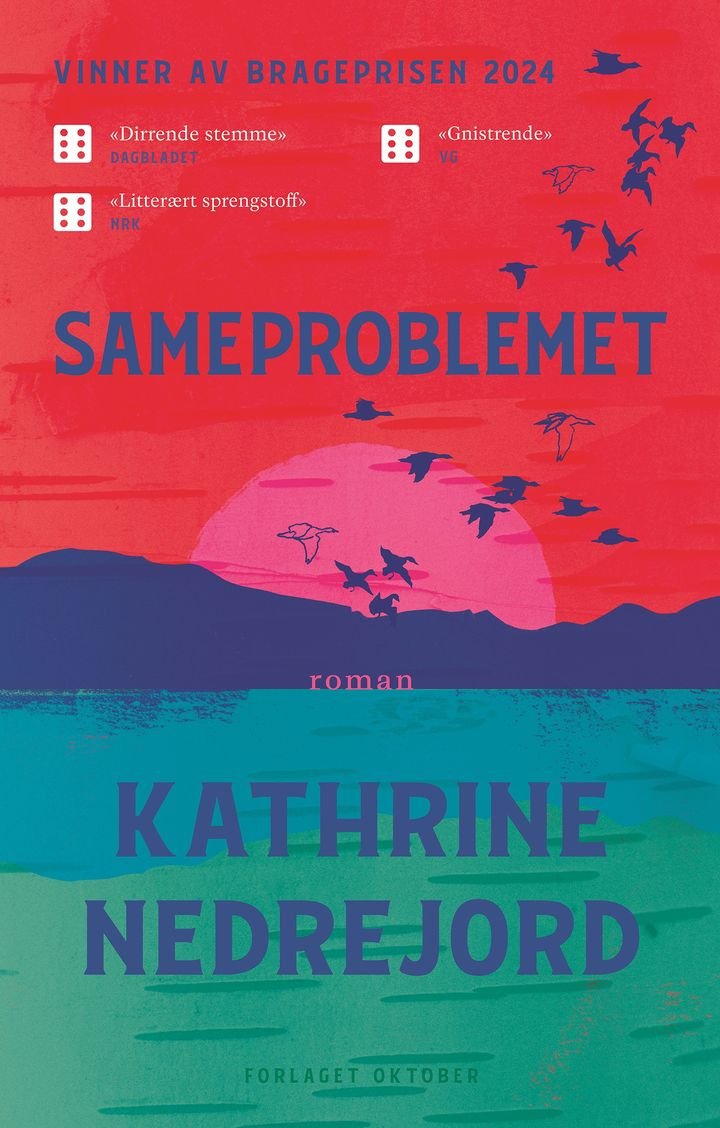 Sameproblemet - roman