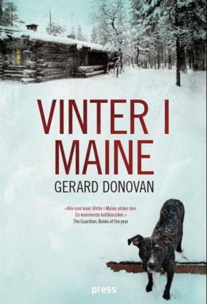 Vinter i Maine - roman