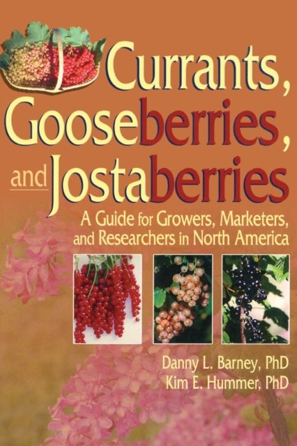 Currants, Gooseberries, And Jostaberries