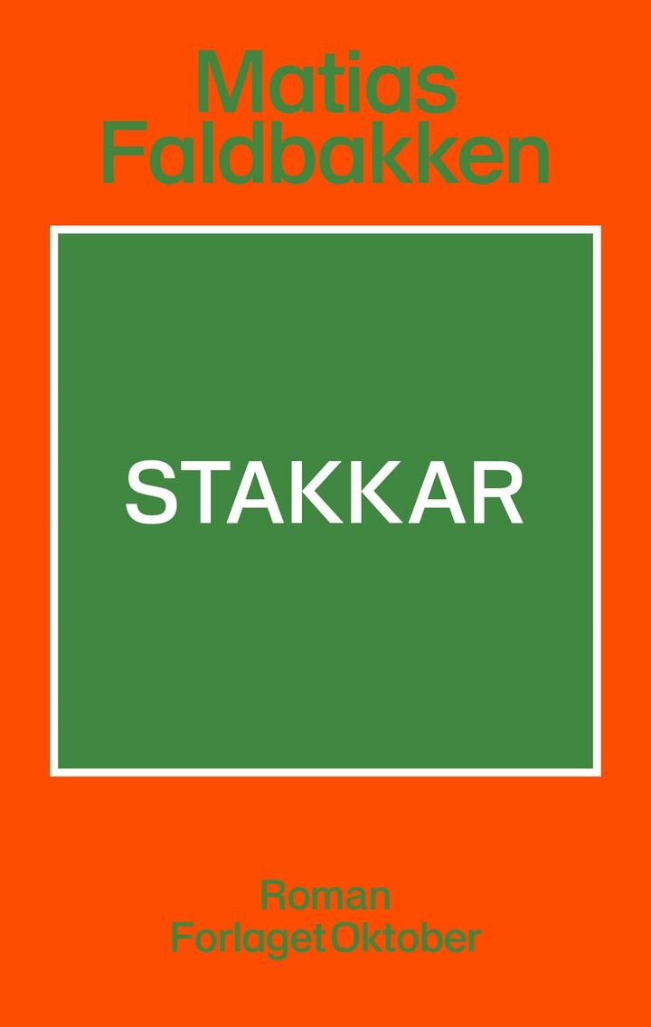 Stakkar - roman
