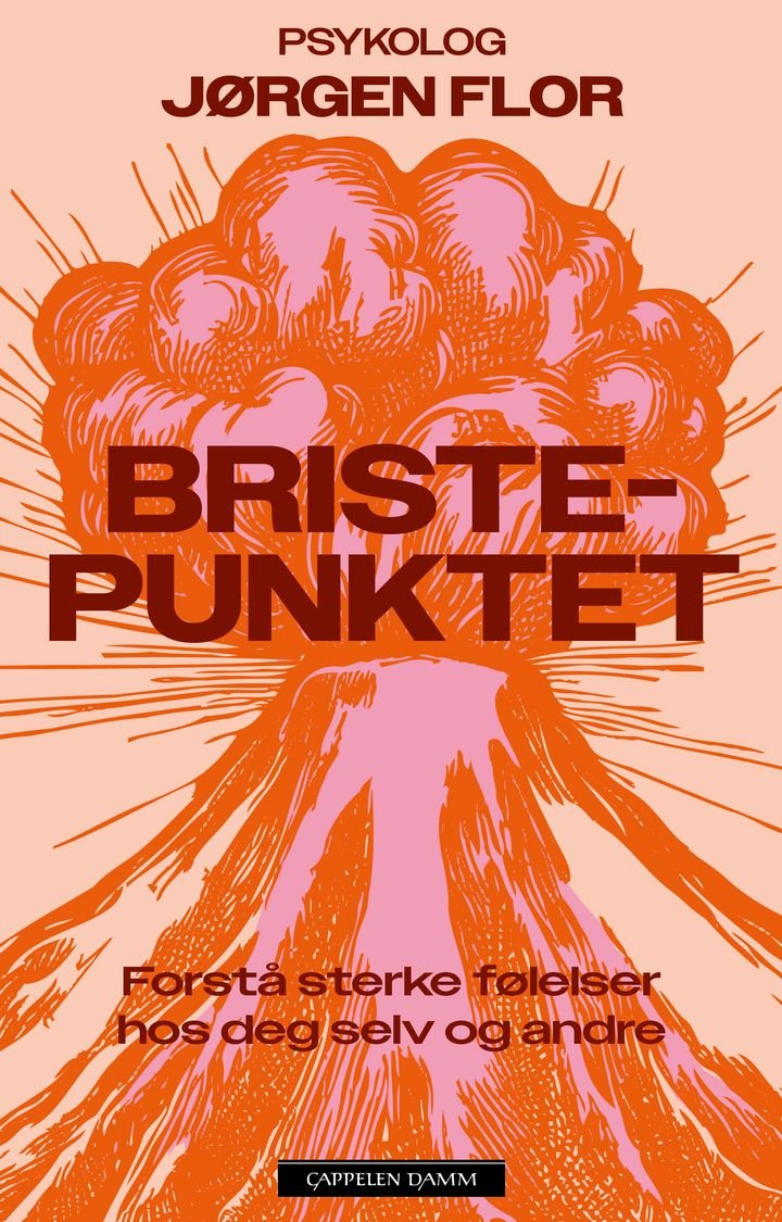 Bristepunktet - Forstå sterke følelser hos deg selv og andre