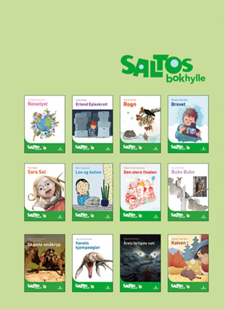 Saltos bokhylle - nivå 5-6 : norsk for barnesteget