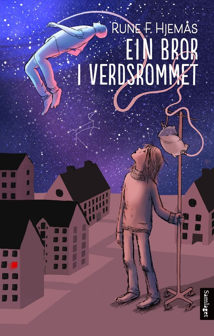 Ein bror i verdsrommet - roman