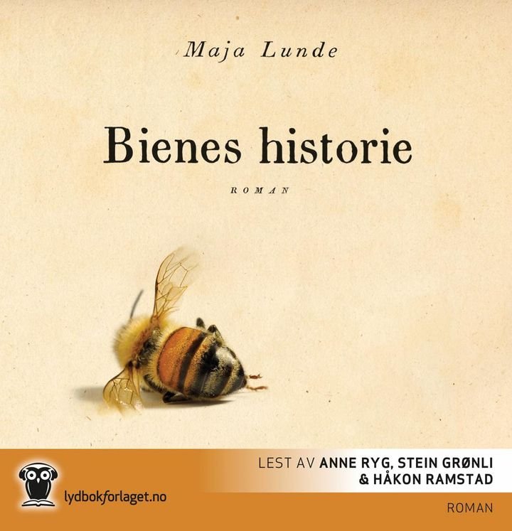 Bienes historie - roman