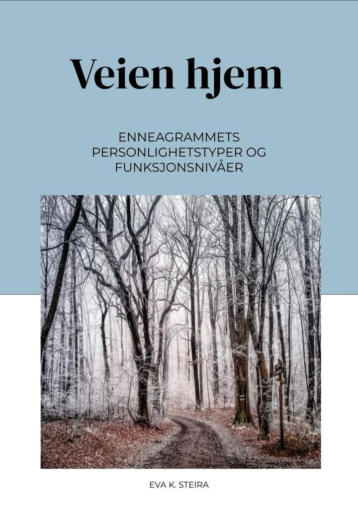 Veien hjem - enneagrammets personlighetstyper og funksjonsnivåer
