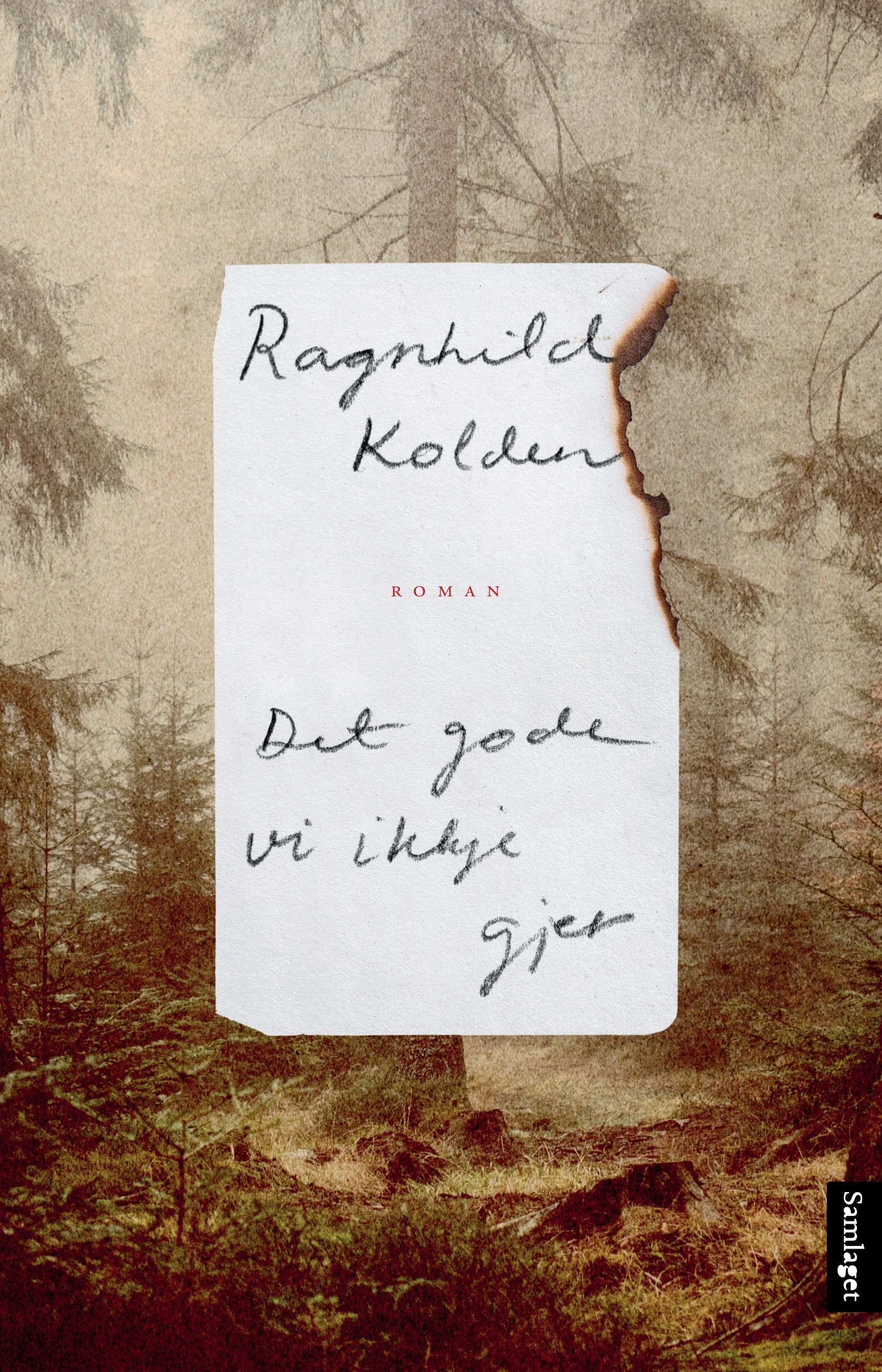 Det gode vi ikkje gjer - roman