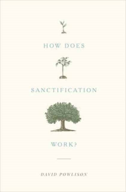How Does Sanctification Work?