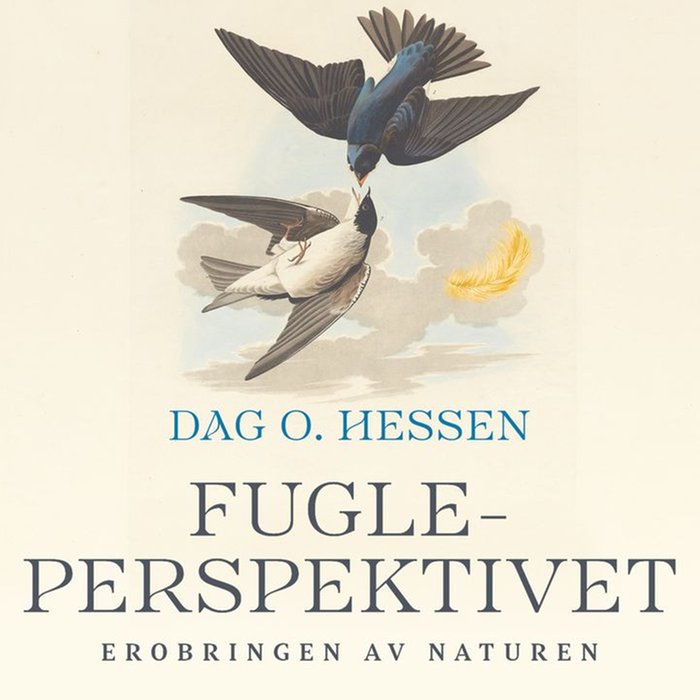 Fugleperspektivet