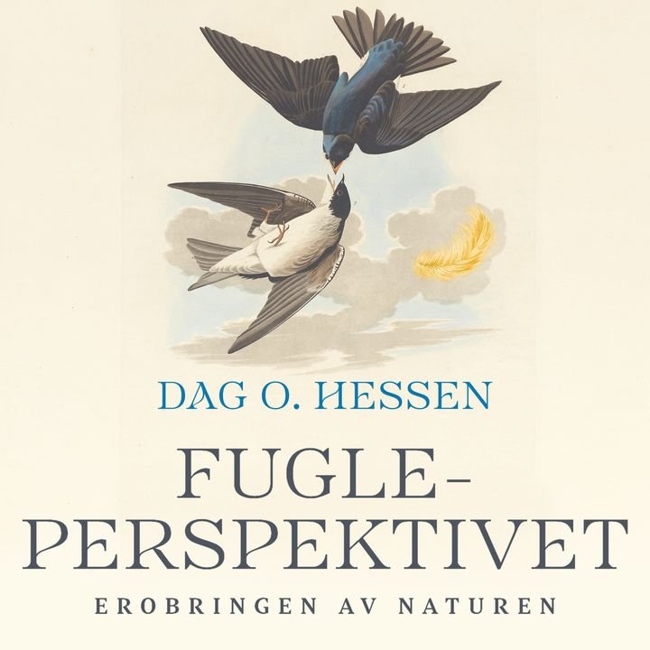 Fugleperspektivet - erobringen av naturen