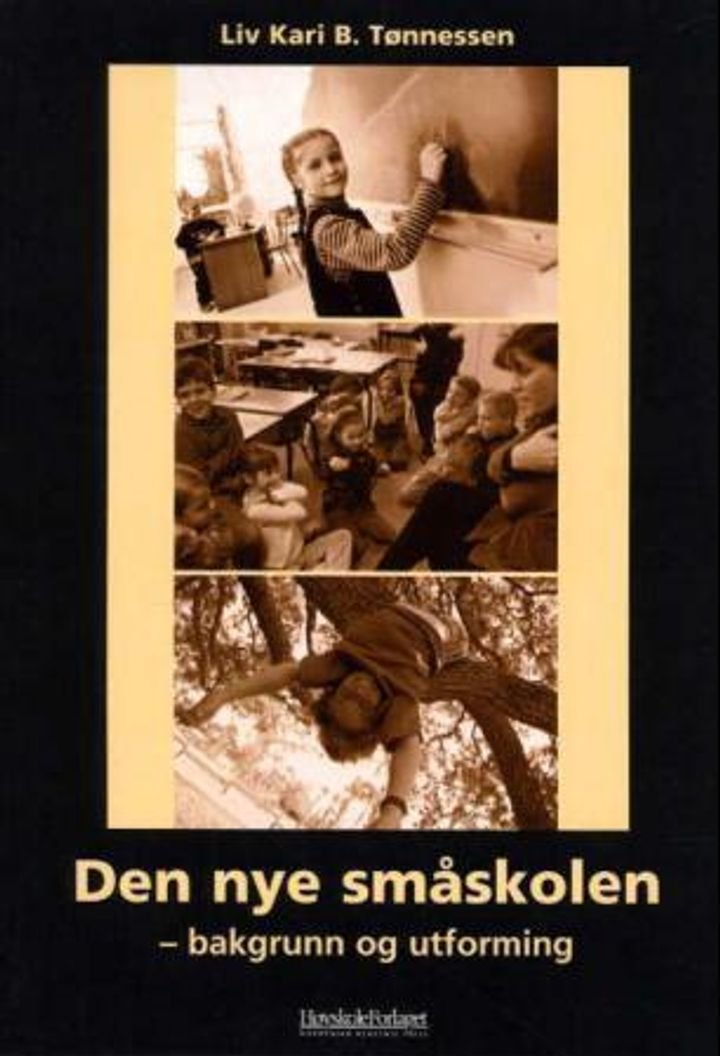 Den nye småskolen - bakgrunn og utforming