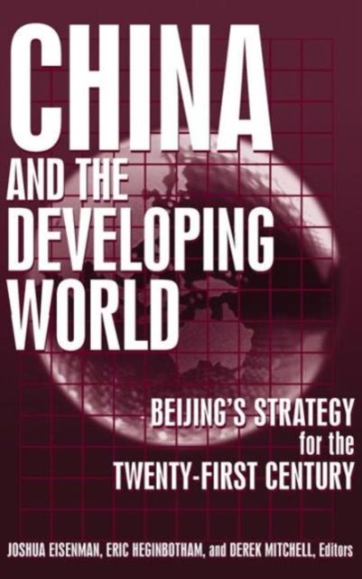 China and the Developing World