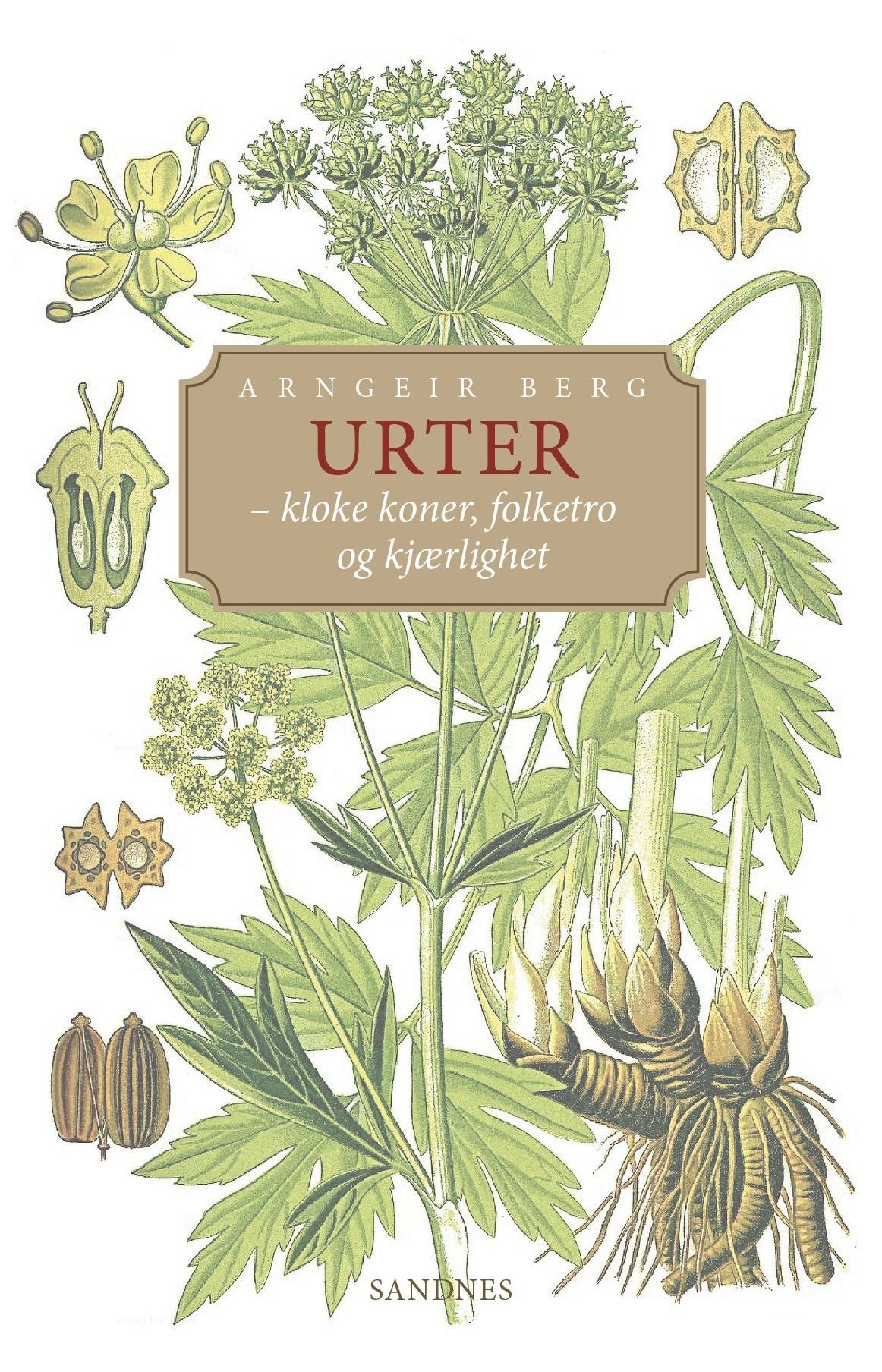 Urter