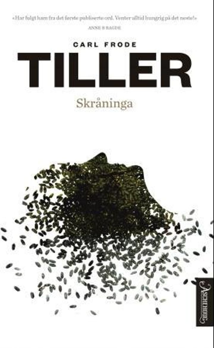 Skråninga - roman