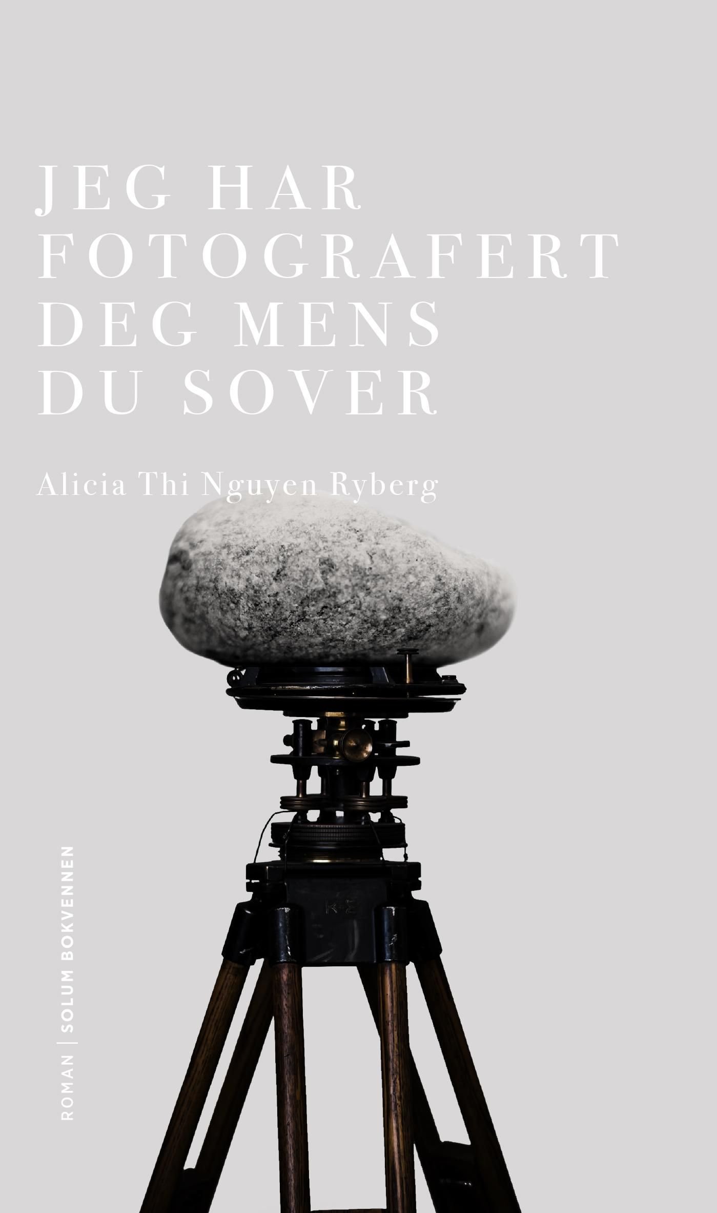 Jeg har fotografert deg mens du sover - roman