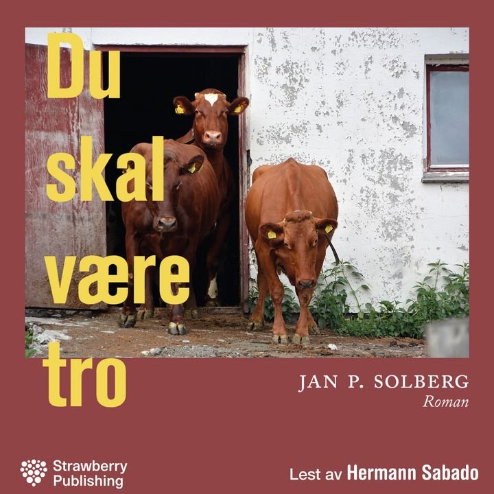 Du skal være tro - roman