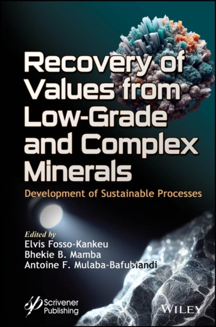 Recovery of Values from Low–Grade and Complex Mine rals: Development of Sustainable Processes