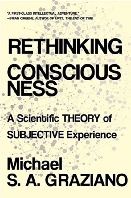 Rethinking Consciousness – A Scientific Theory of Subjective Experience