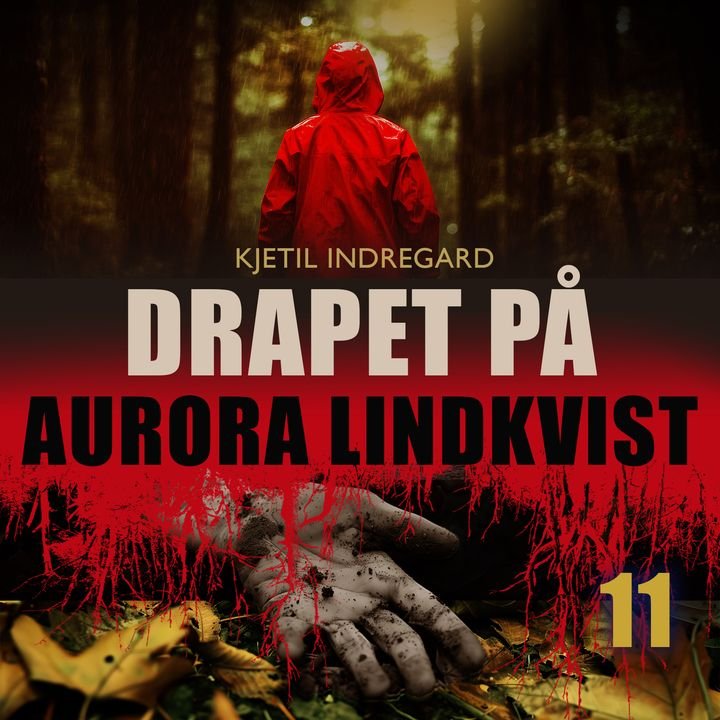 Drapet på Aurora Lindkvist - Bok 11 : en forbrytelse i tolv bind