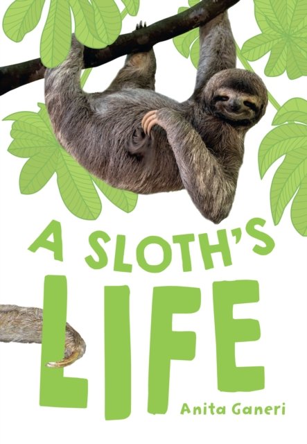 BIG CAT LW FLU_SLOTHS LIFE
