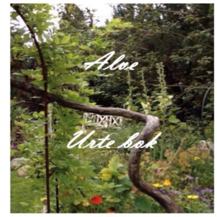 Alve urte bok | Ingrid Illia Haugerud | ARK.no