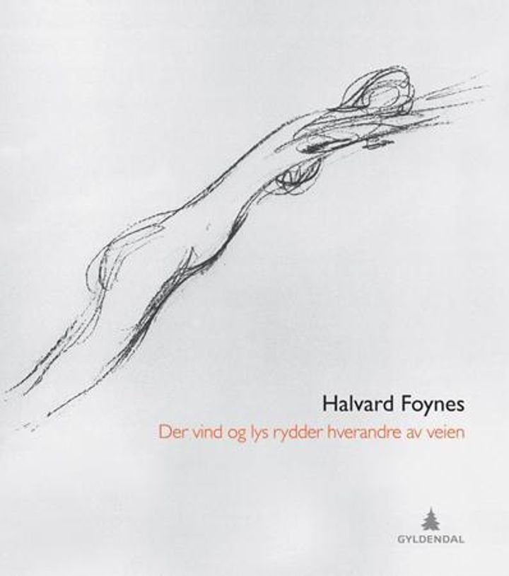 Der vind og lys rydder hverandre av veien - dikt