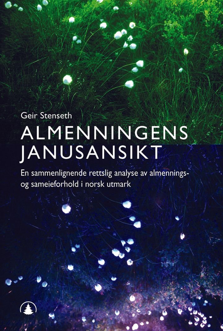 Almenningens janusansikt - en sammenlignende rettslig analyse av almenings- og sameieforhold i norsk utmark
