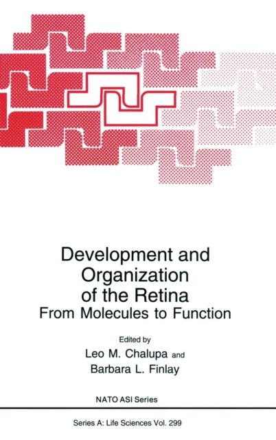 Development and Organization of the Retina