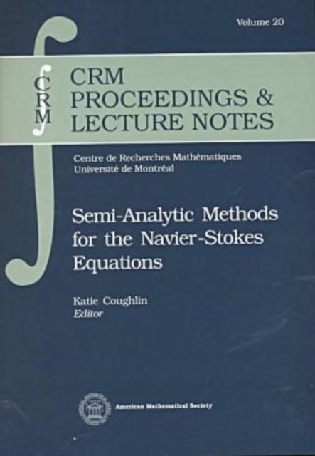 Semi-analytic Methods for the Navier-Stokes Equations