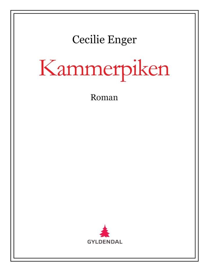 Kammerpiken - roman