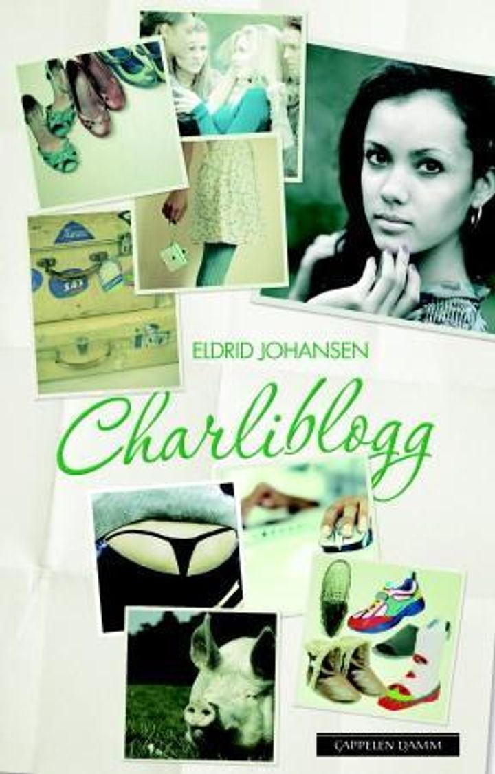Charliblogg - roman