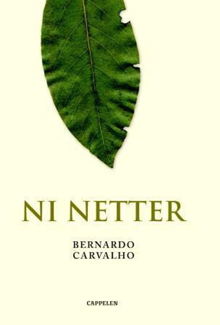 Ni netter - roman