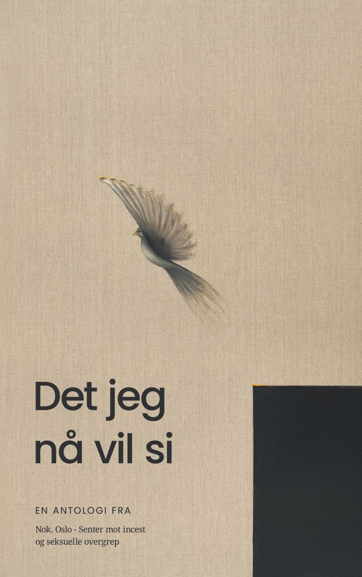 Det jeg nå vil si - en antologi fra Nok. Oslo – Senter mot incest og seksuelle overgrep