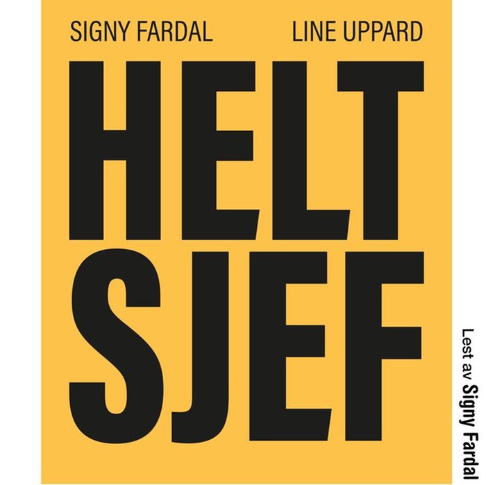 Helt sjef