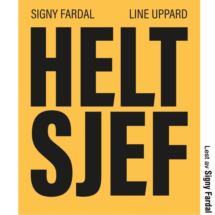 Helt sjef - om kvinner og ledelse og veien til toppen