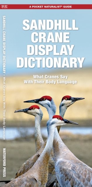 Sandhill Crane Display Dictionary