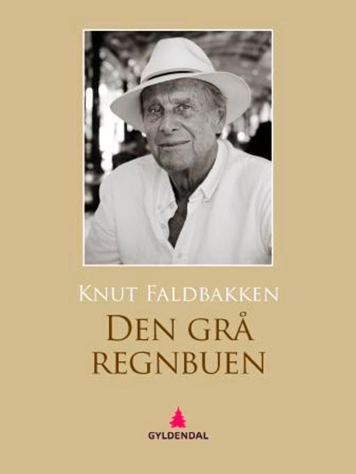 Den grå regnbuen - roman