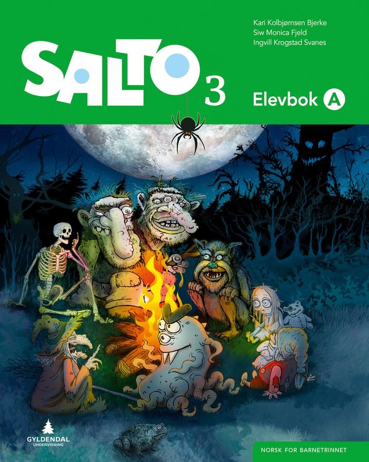 Salto 3 - Elevbok A : norsk for barnesteget