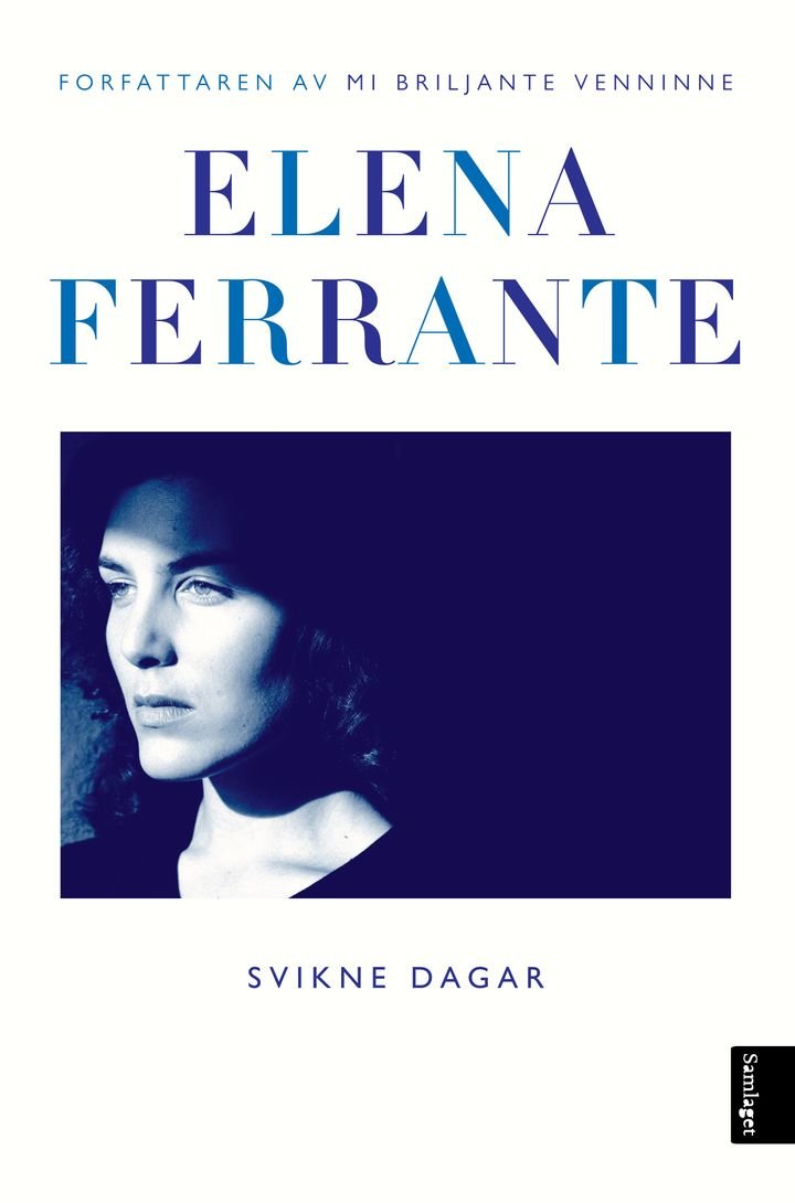Svikne dagar - roman