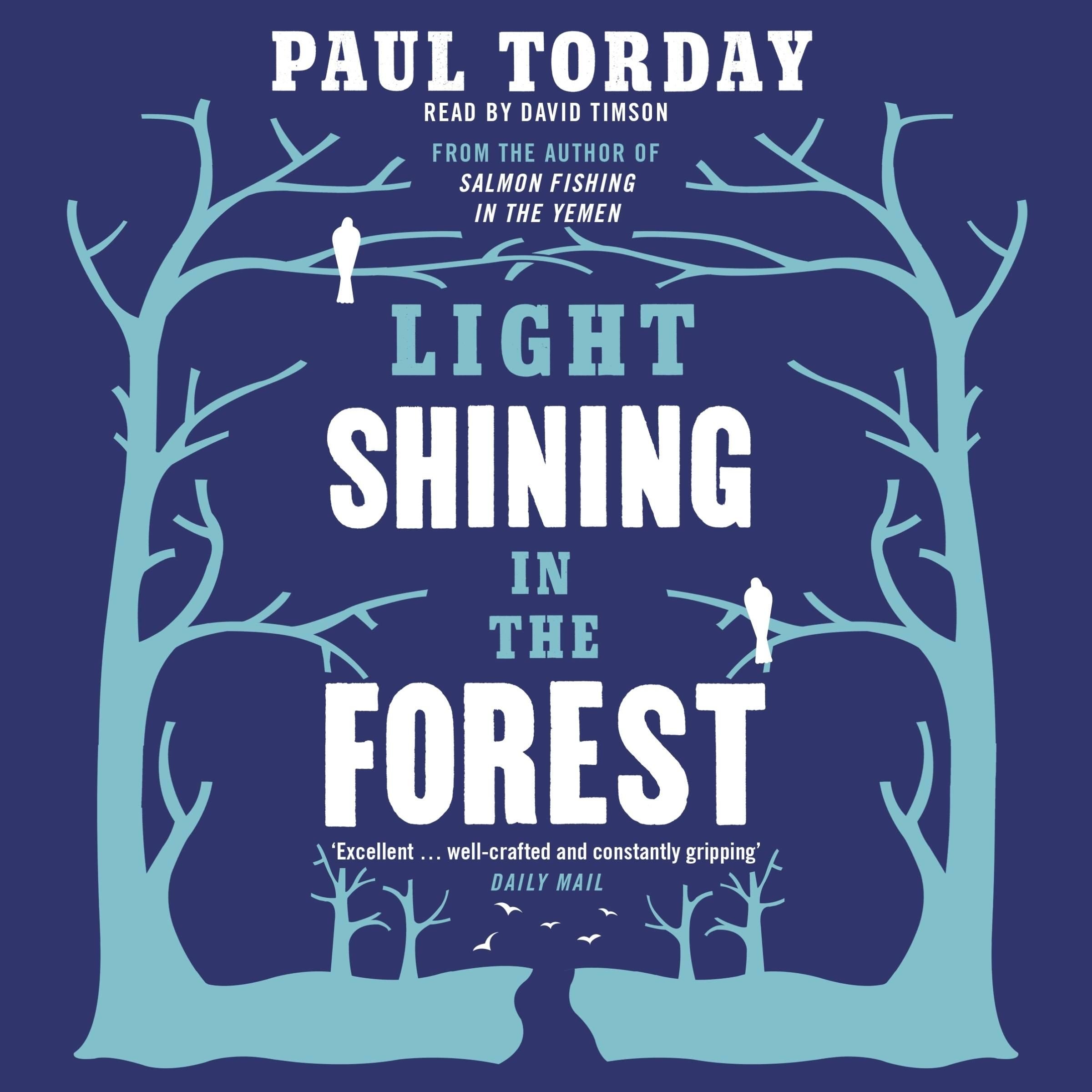 Light Shining in the Forest