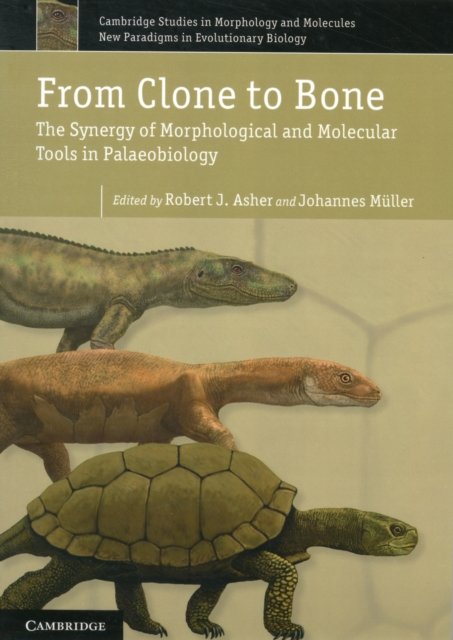 From Clone to Bone