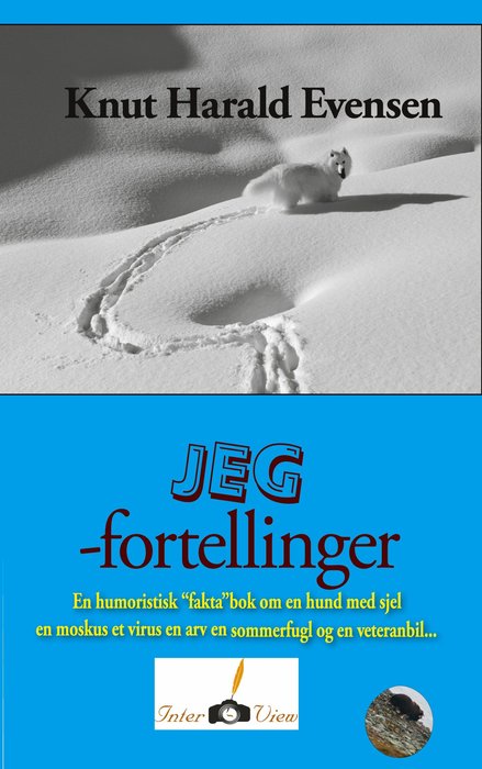 Jeg-fortellinger