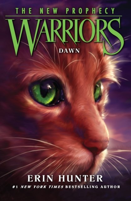 WARRIERS (3) DAWN