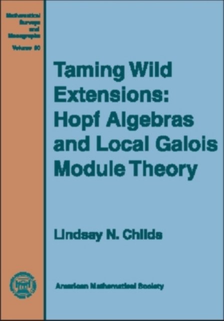 Taming Wild Extensions