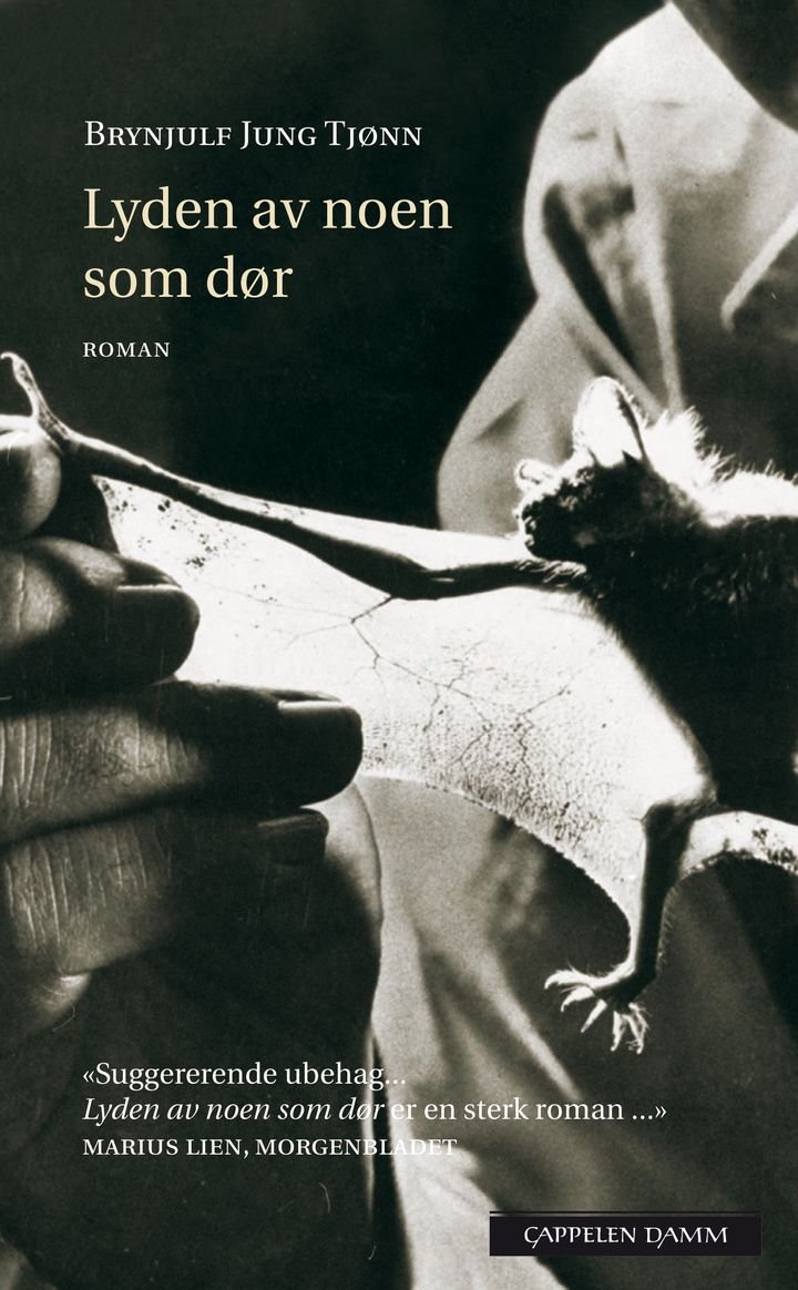Lyden av noen som dør - roman