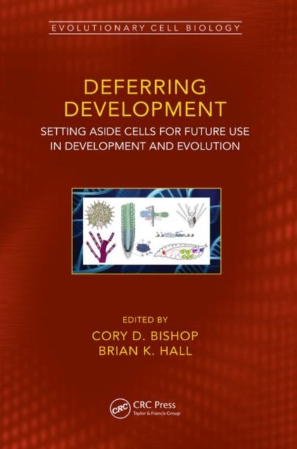 Deferred Development