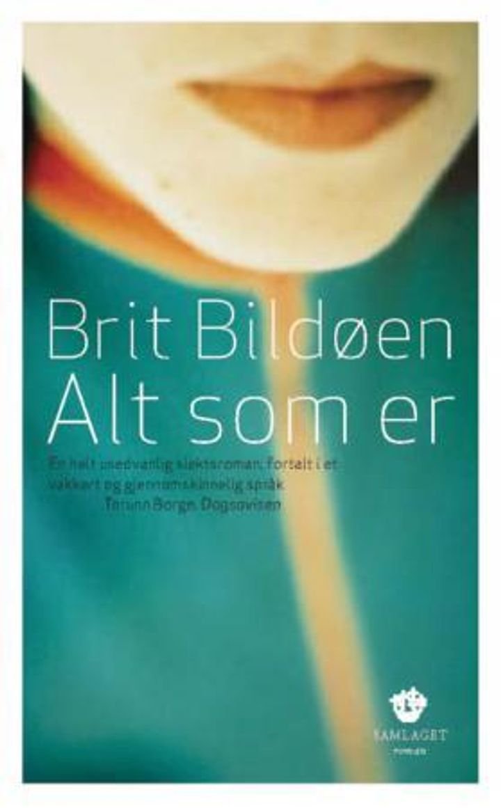 Alt som er - roman