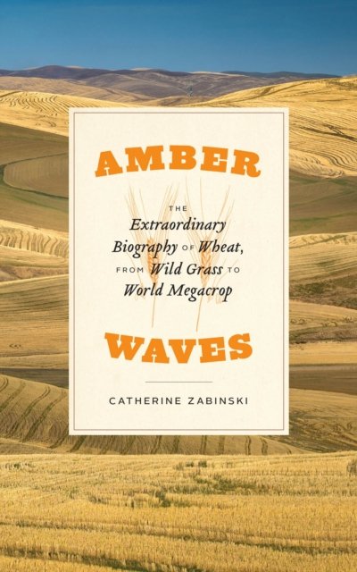 Amber Waves – The Extraordinary Biography of Wheat, from Wild Grass to World Megacrop